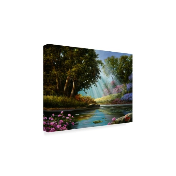 Anthony Casay 'Garden 1' Canvas Art,14x19